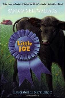 Cover of Little Joe