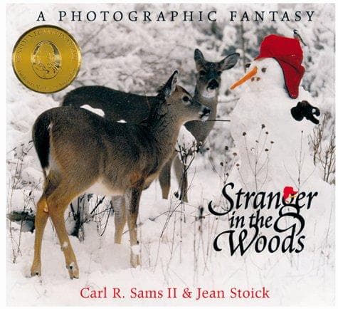 Cover of Stranger in the woods