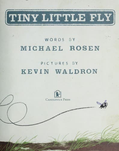 Cover of Tiny Little Fly