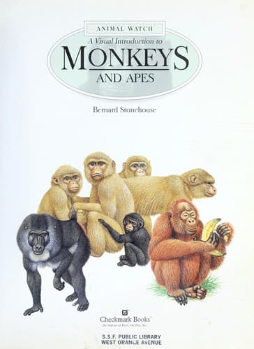 Cover of A visual introduction to monkeys and apes