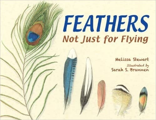 Cover of Feathers Not just for Flying