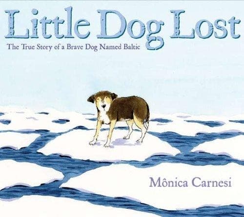 Cover of Little Dog Lost