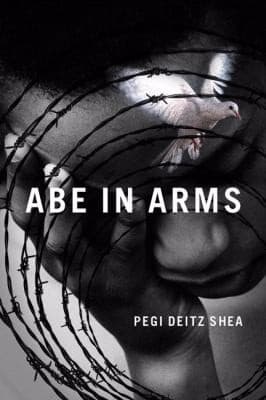 Cover of Abe In Arms