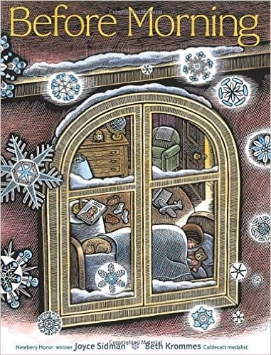Cover of Before Morning