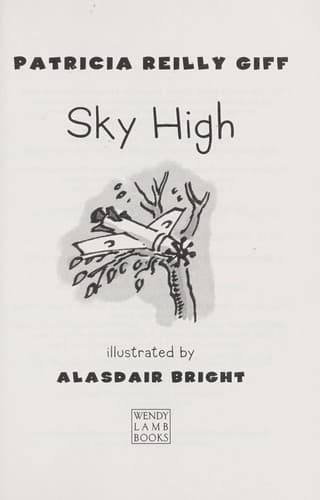 Cover of Sky high