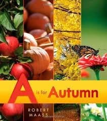 Cover of A is for autumn