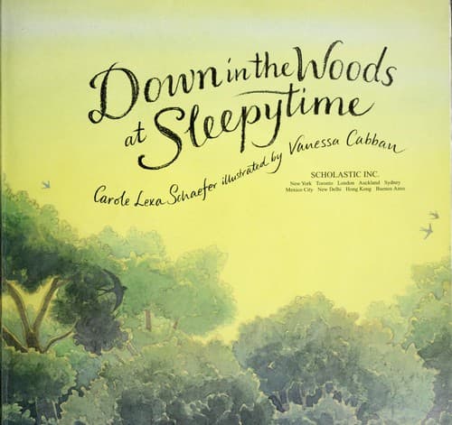 Cover of Down in the woods at sleepytime