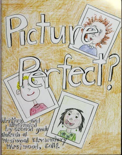Cover of Picture perfect?
