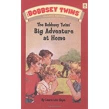 Cover of Big adventure at home