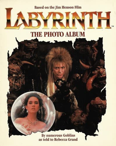 Cover of Labyrinth