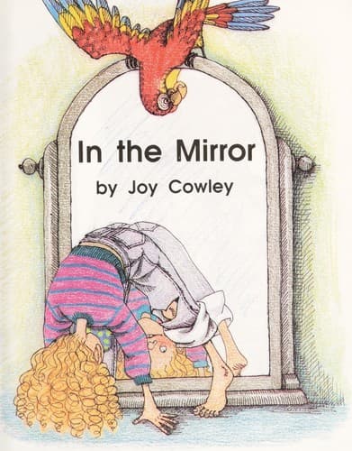 Cover of In the mirror