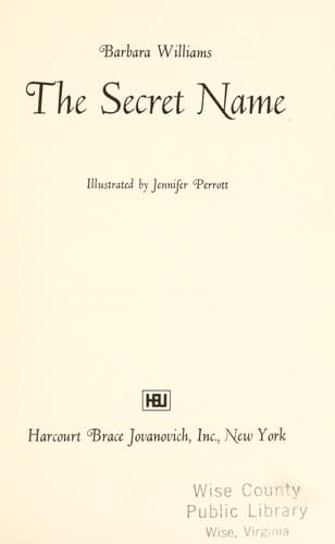 Cover of The secret name