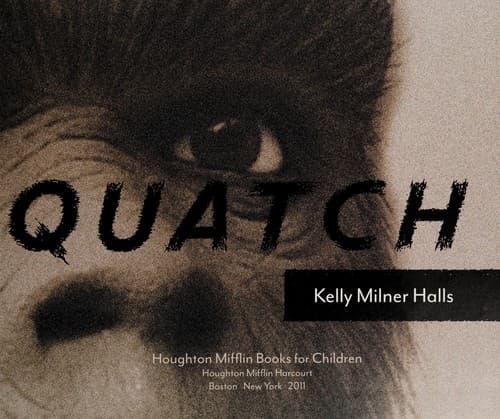 Cover of In search of sasquatch