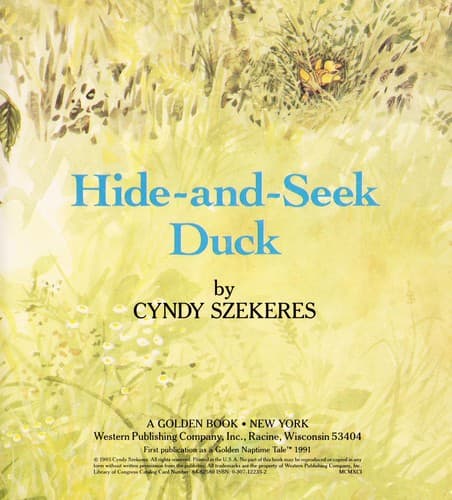 Cover of Hide-and-seek duck