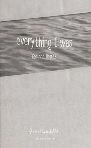 Cover of Everything I was