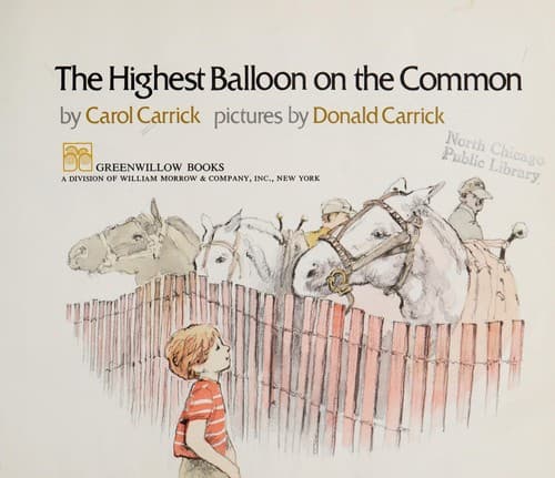 Cover of The highest balloon on the common