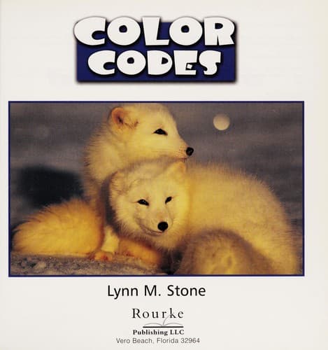 Cover of Color codes