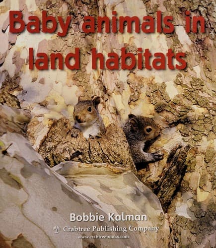 Cover of Baby animals in land habitats