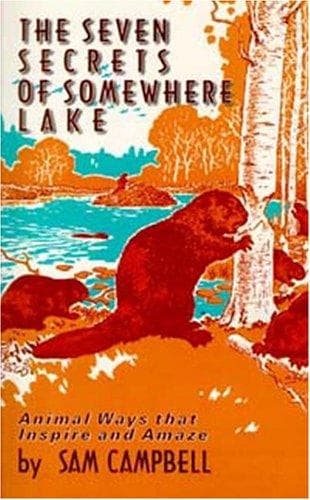 Cover of The seven secrets of Somewhere Lake