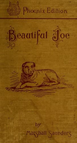 Cover of Beautiful Joe