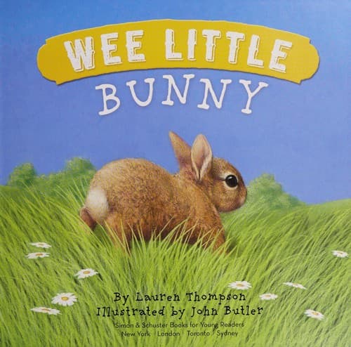 Cover of Wee little bunny