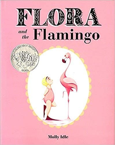 Cover of Flora and the flamingo