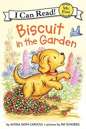 Cover of Biscuit in the garden