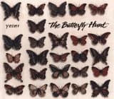 Cover of The butterfly hunt