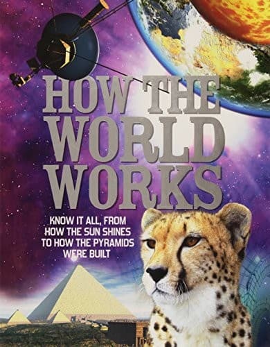 Cover of How The World Works