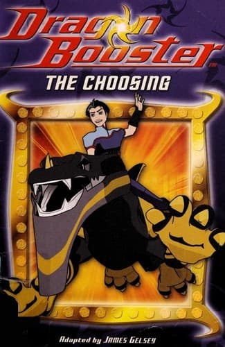 Cover of The choosing
