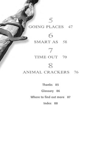 Cover of Animals are electrifying