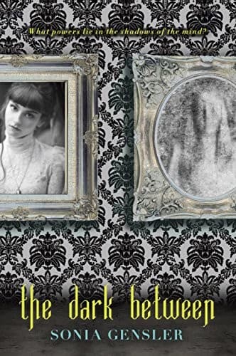 Cover of The Dark Between