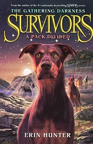 Cover of A Pack Divided