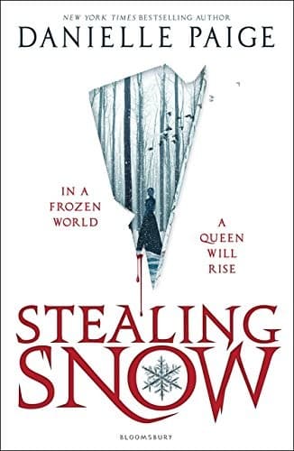 Cover of Stealing Snow
