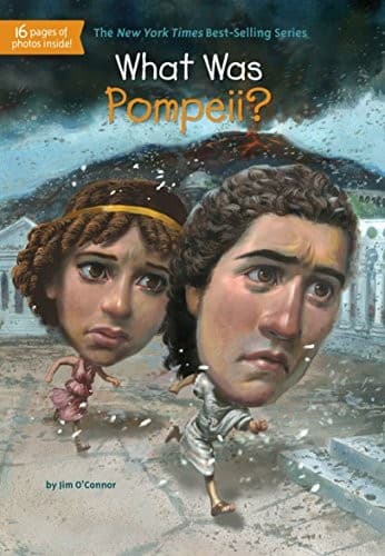 Cover of What Was Pompeii?