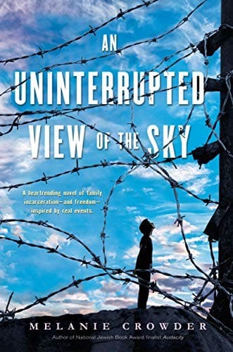 Cover of An uninterrupted view of the sky