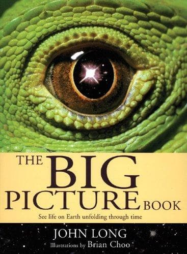 Cover of The big picture book