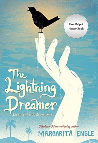 Cover of The Lightning Dreamer