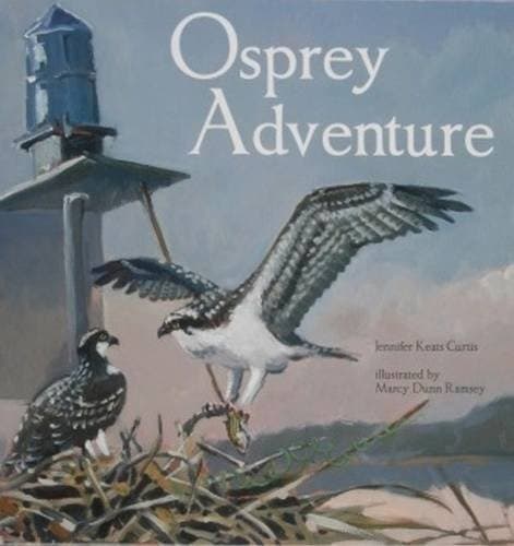Cover of Osprey adventure