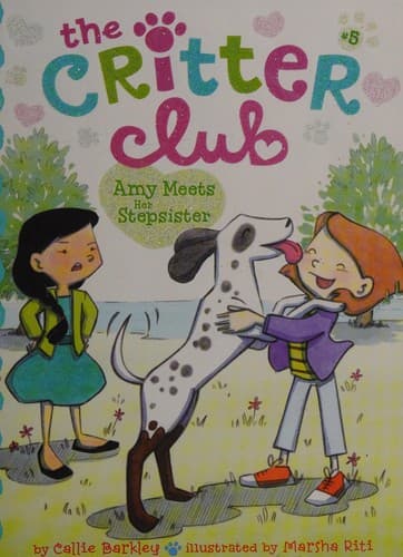 Cover of Amy meets her stepsister