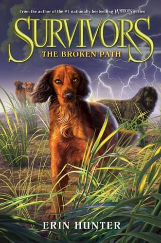 Cover of The Broken Path