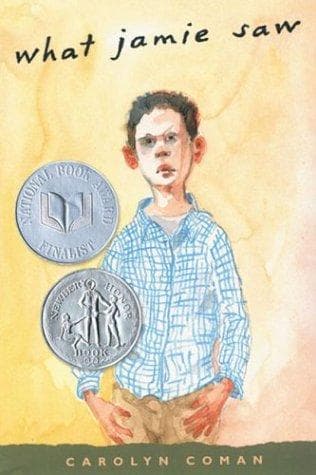 Cover of What Jamie saw