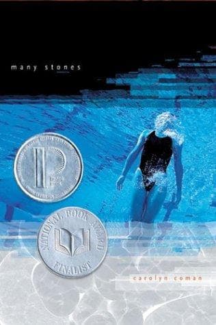 Cover of Many Stones