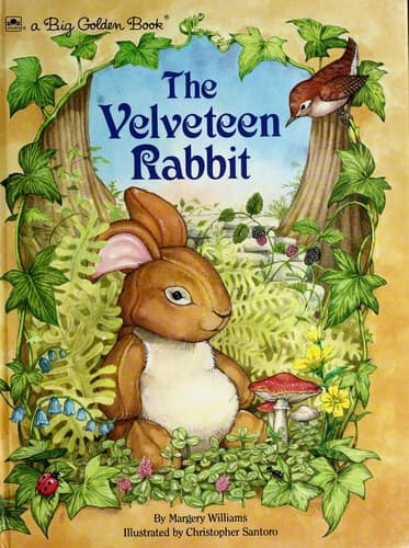 Cover of The velveteen rabbit