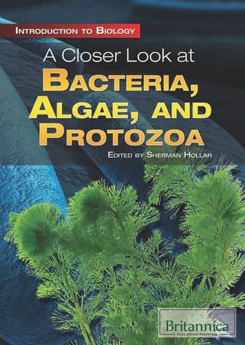 Cover of A closer look at bacteria, algae, and protozoa