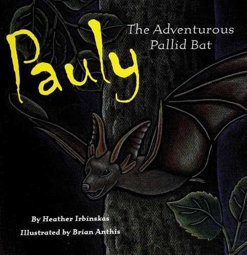 Cover of Pauly, the adventurous pallid bat