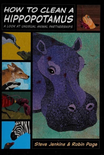 Cover of How to clean a hippopotamus