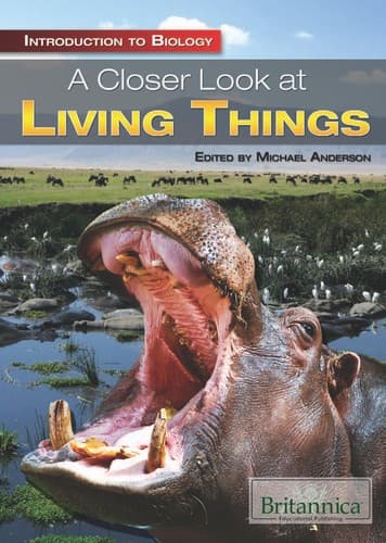 Cover of A closer look at living things
