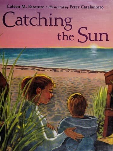 Cover of Catching the sun