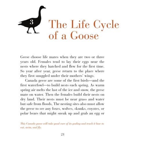 Cover of Geese